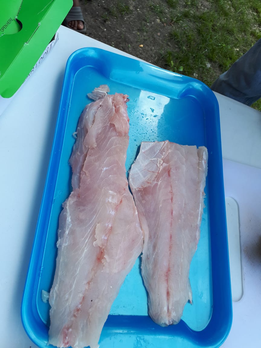 pesca2